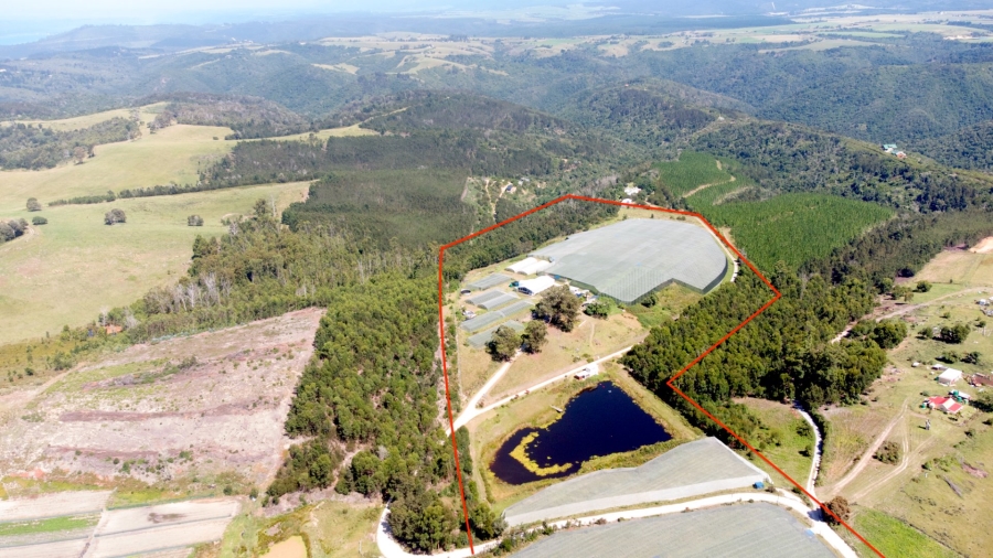 Commercial Property for Sale in Sedgefield Rural Western Cape